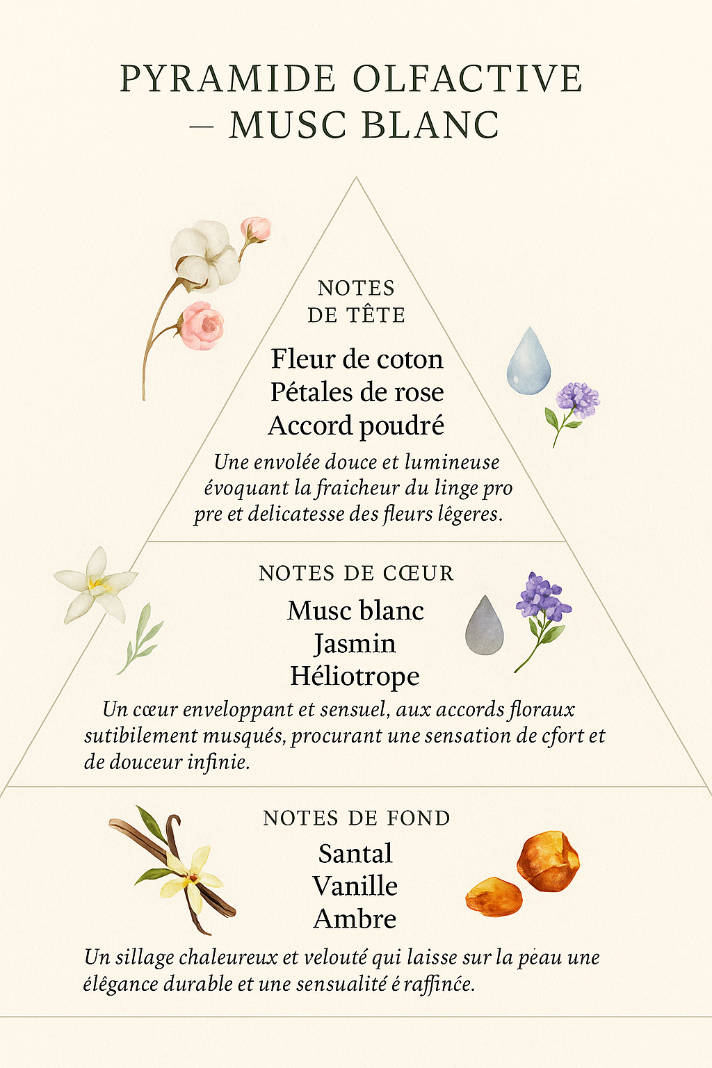 Eau de toilette - Musc Blanc - 100 ml - Savonnerie de Bormes